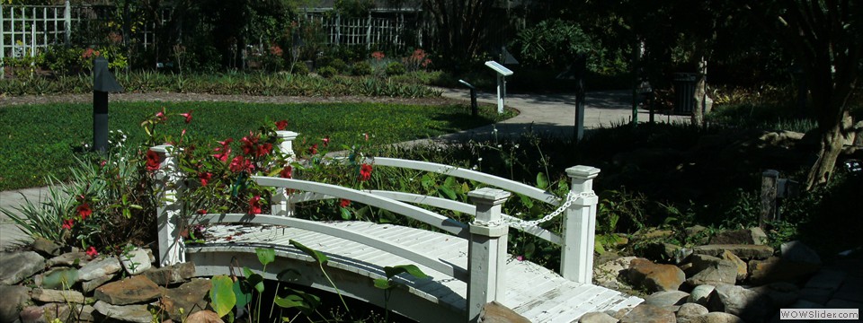 Florida Botanical Gardens 16