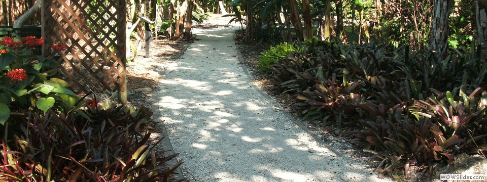 Florida Botanical Gardens 21